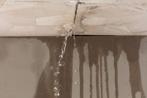 Professional Water Damage Inspection technician working in Wellington, CO
